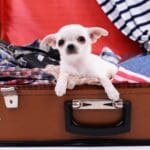 Booking a UK staycation or holiday abroad soon?