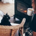Can Seasonal Affective Disorder affect cats in Somerset?