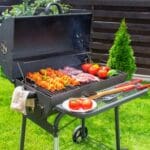 Barbecue Advice for Curious Cats and Dogs