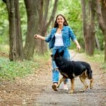 Bored of Your Somerset Dog Walks? How to Spice Things Up