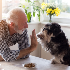 Nurture’s Practical Enrichment Tips for Busy Dog Parents
