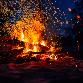How to Comfort Pets on Bonfire Night in Somerset