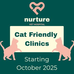 Cat Friendly Clinics at Nurture