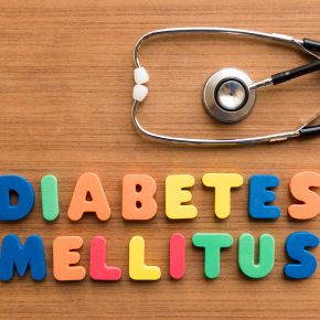 What is Pet Diabetes? Symptoms, Treatments and Support