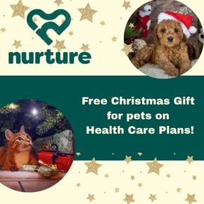 Savings with Nurture Health Care Plans