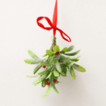 Could Mistletoe and Tinsel Put Your Pet in the Emergency Room?