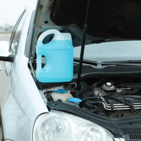 Antifreeze Poisoning Signs from Our Vets in Wells and Weston