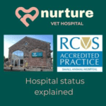 RCVS Hospital Status – What This Means for You and Your Pet