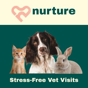 Making Vet Visits Less Stressful at Nurture