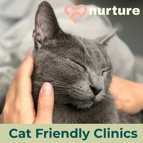 Cat Friendly Clinics