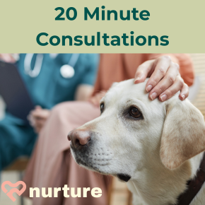 Pets benefit from more time