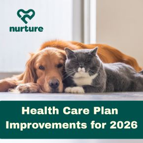 Nurture Health Care Plan Improvements for 2026